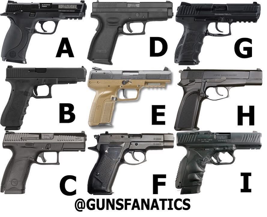 FirearmFury's tweet image. Pick one CCW