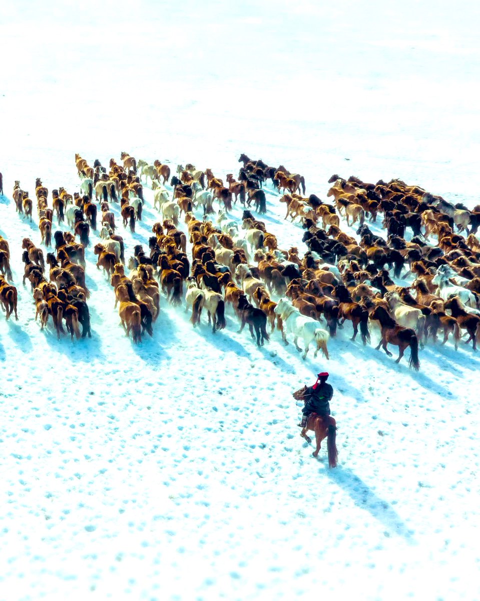 Шинэ өглөө~Шинэ боломж
Боломжийг бодит болгосон сайхан өдөр байх болтугай🧡💜❤️