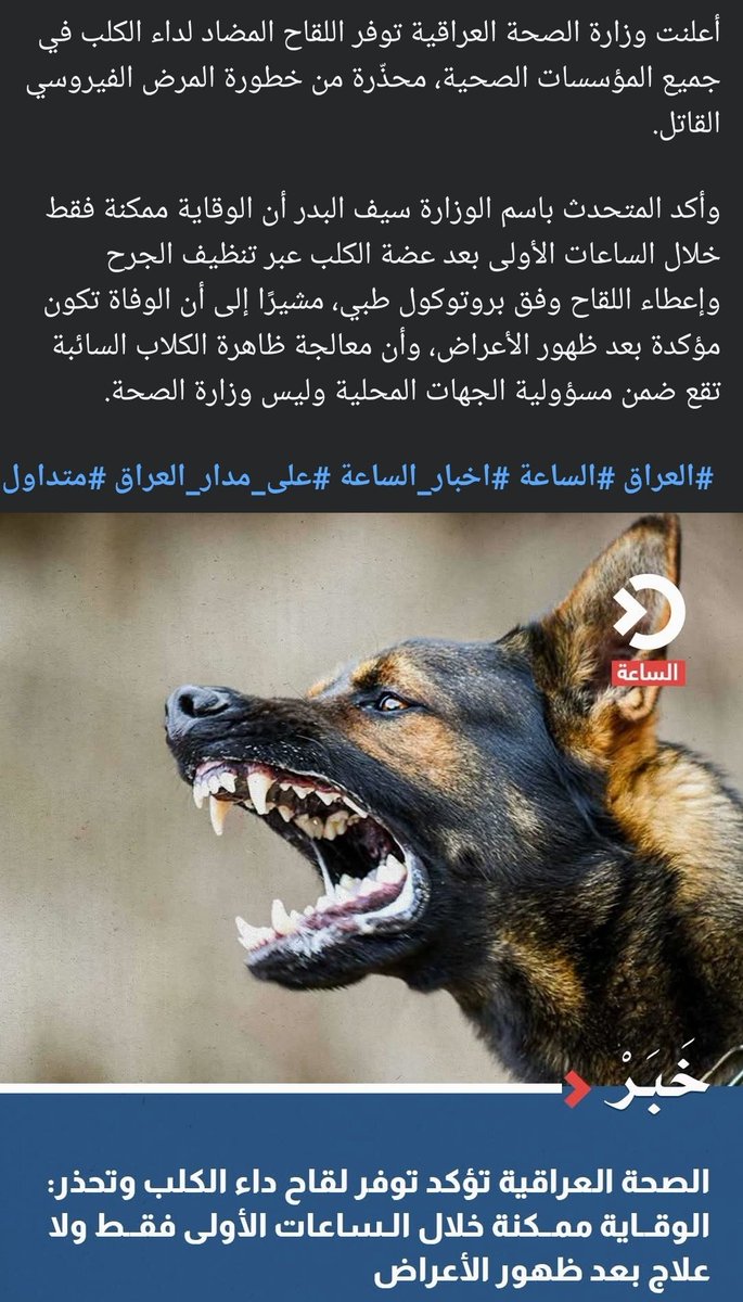 المشكلة هسه طلع بندقيتك وتكتلك #جلب ابن #جلب مسعور ويطلع سياسي وبظهره حزب قوي ويجونك يطحون #حظك.!!