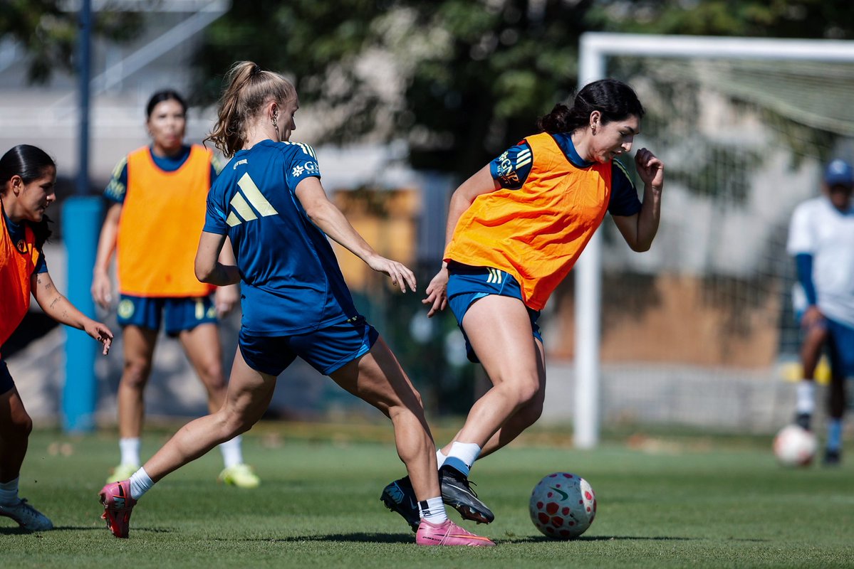 Continúa el trabajo 🦅