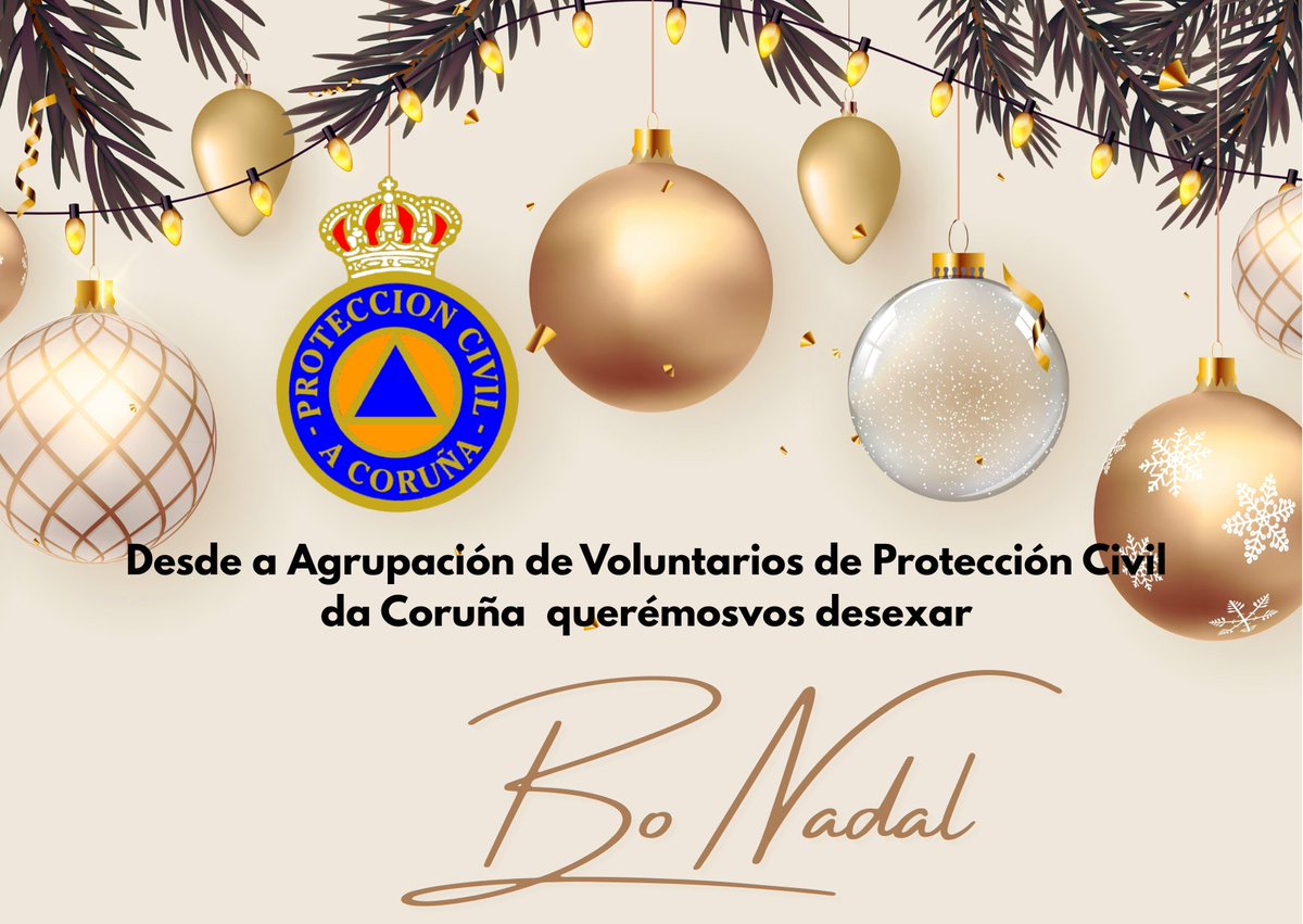 Desde a Agrupación de Voluntarios de Protección Civil de A Coruña querémosvos desexar un Bo Nadal.