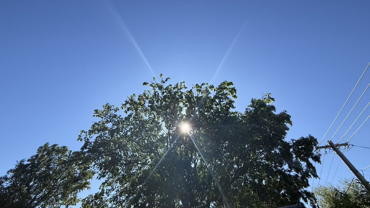 wapple15's tweet photo. Good morning #Canberra ☀️🌬️ #BluesdayTuesday #MagpiesDoingWeirdStuff https://t.co/k0Vy7WYA70