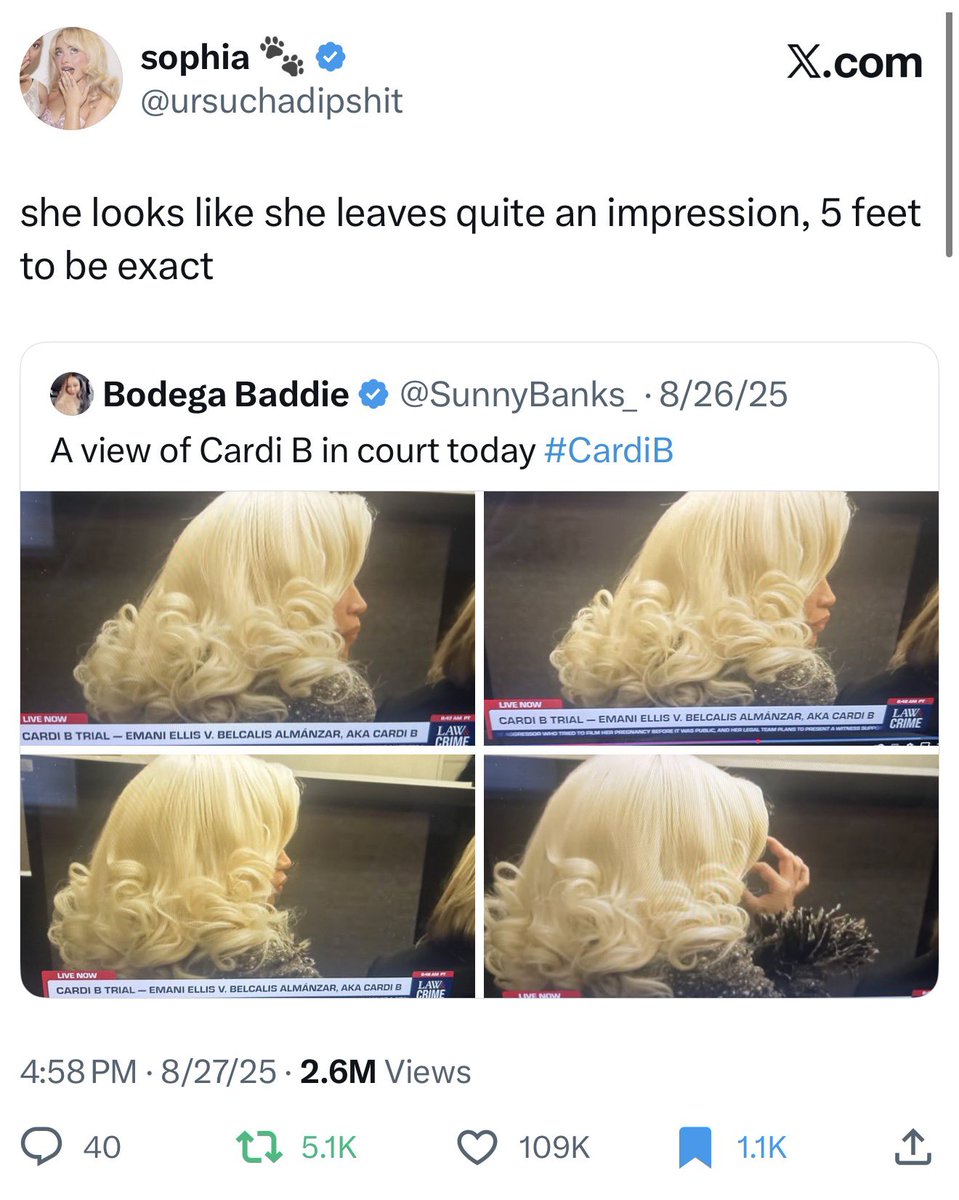 ursuchadipshit's tweet image. ended up in a youtube video essay about cardi b’s trial.