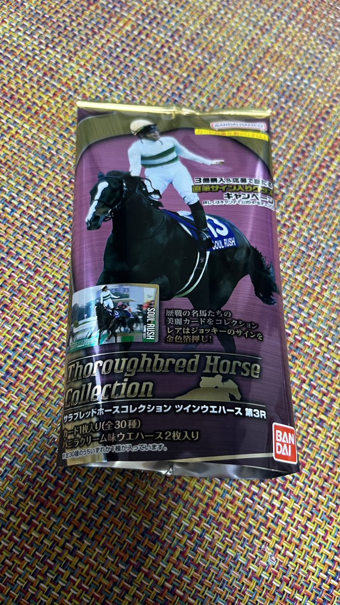 おはようございます☀️ 昨日はサラブレッドホースコレクション3Rを数