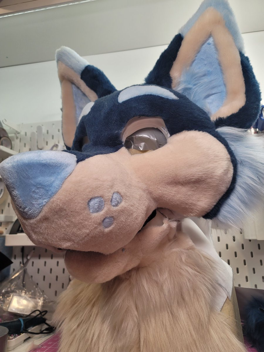 RFuztail44056's tweet photo. Every stitch tells a story… Meet my latest creation! 🎨🖤 #FursuitDesign
#fursuitmaker https://t.co/z6d3HWb1ZR