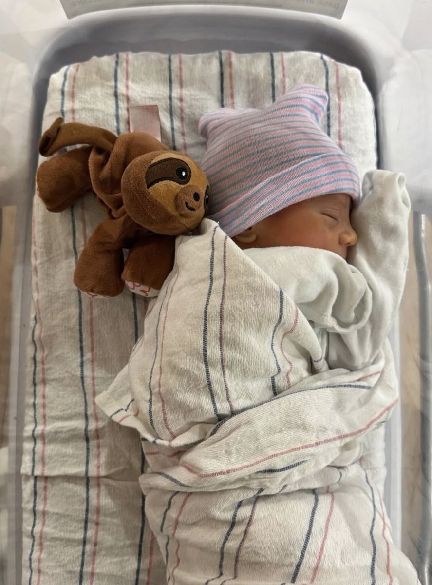 A través de la red social Instagram, <a href="/enriqueiglesias/">Enrique Iglesias</a> y Anna Kournikova confirman la llegada del cuarto miembro de la familia, nacida el pasado 17 de diciembre.

Felicidades para toda la familia Iglesias-Kournikova. 
#enriqueiglesias #annakournikova #Iglesias #Baby #CLUBEIMEXICO