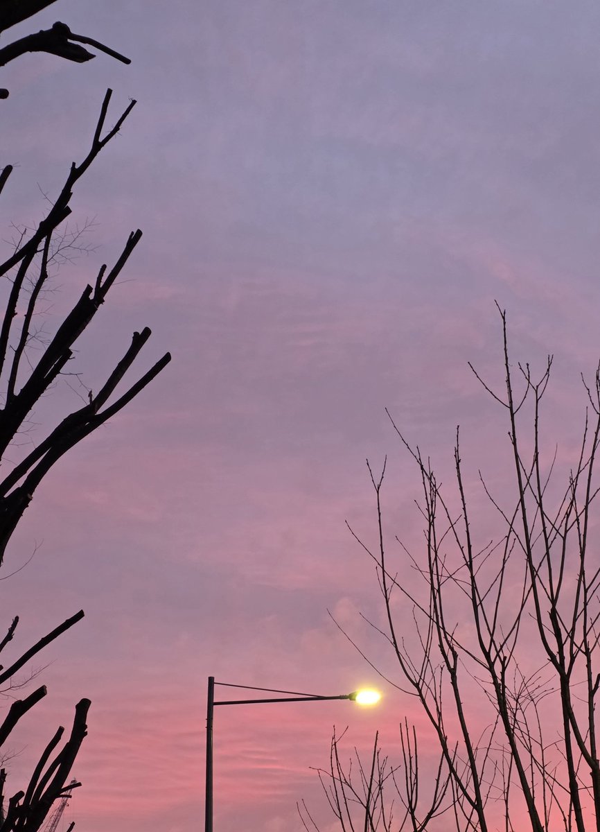 이게 그 말로만 듣던 붉은 노을 인가요?? ㅋㅋ 다들 좋은 아침입니다 ㅎㅎ 이틀만 버티면 크리스마스네요!! 연말 잘 버텨봅시다 ㅎㅎ  화이팅입니다 !!!, image size:866x1200