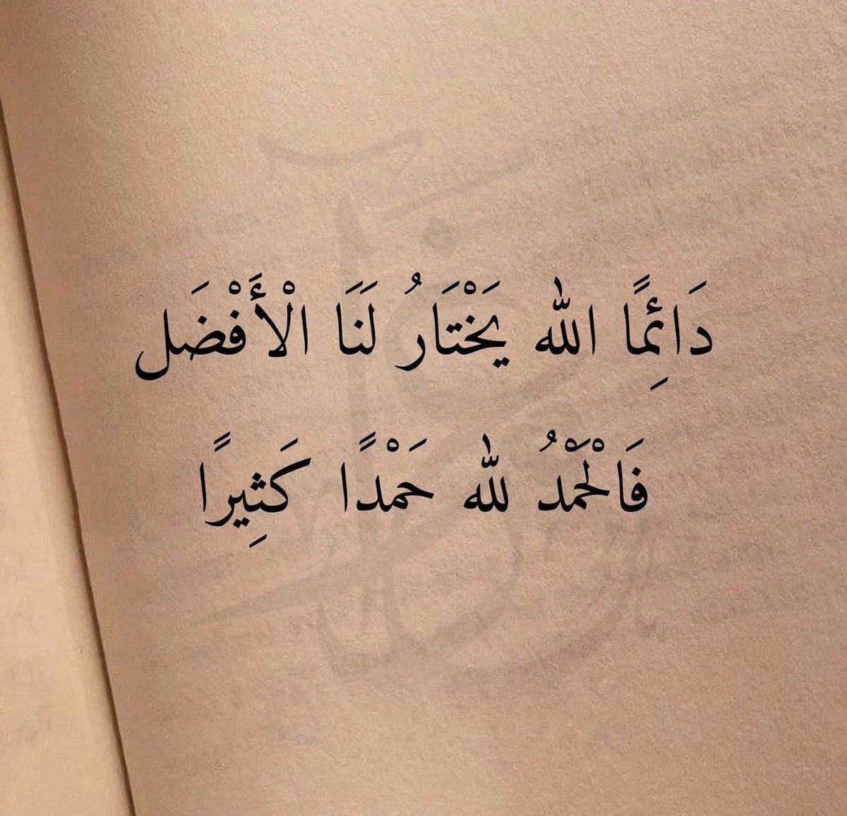 ممدوح الدعجاني (@mmdo7h) on Twitter photo 