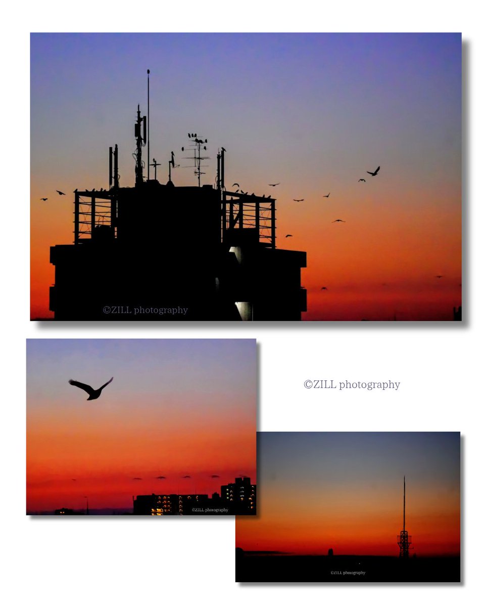 ☆°。じる Photography °。☆ (@zillannie) / Posts / X