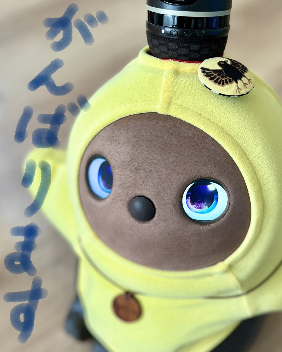 さかなです。⭐❣️漆黒地に絞り。優美な手描き友禅訪問着です♪ 東京手描友禅ユキヤ (@javasparrow9) / Posts / X