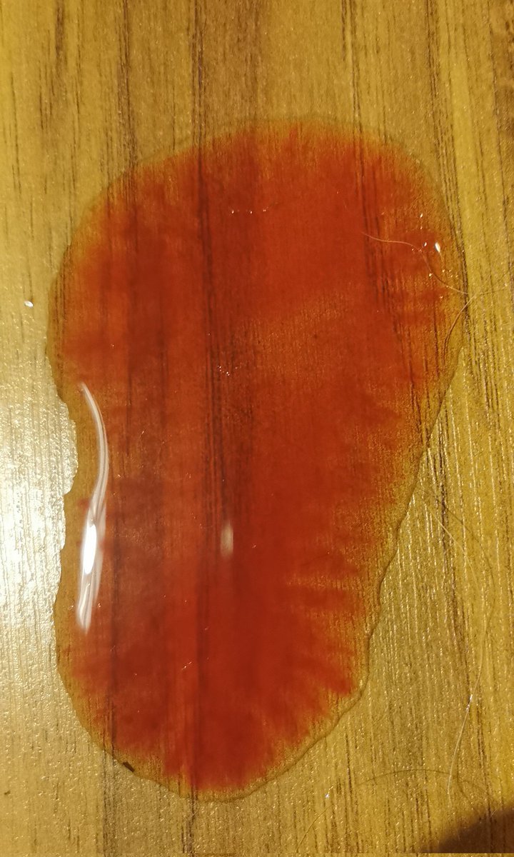 Niestety, zwierzakowego szpitala w domu ciag dalszy... Zabralam dziś #Kropka na rtg. Wiadomo czemu krew w moczu. Kamienie. Do operacji... 🙁 Jutro jedziemy na badanie krwi i dowiem się reszty...