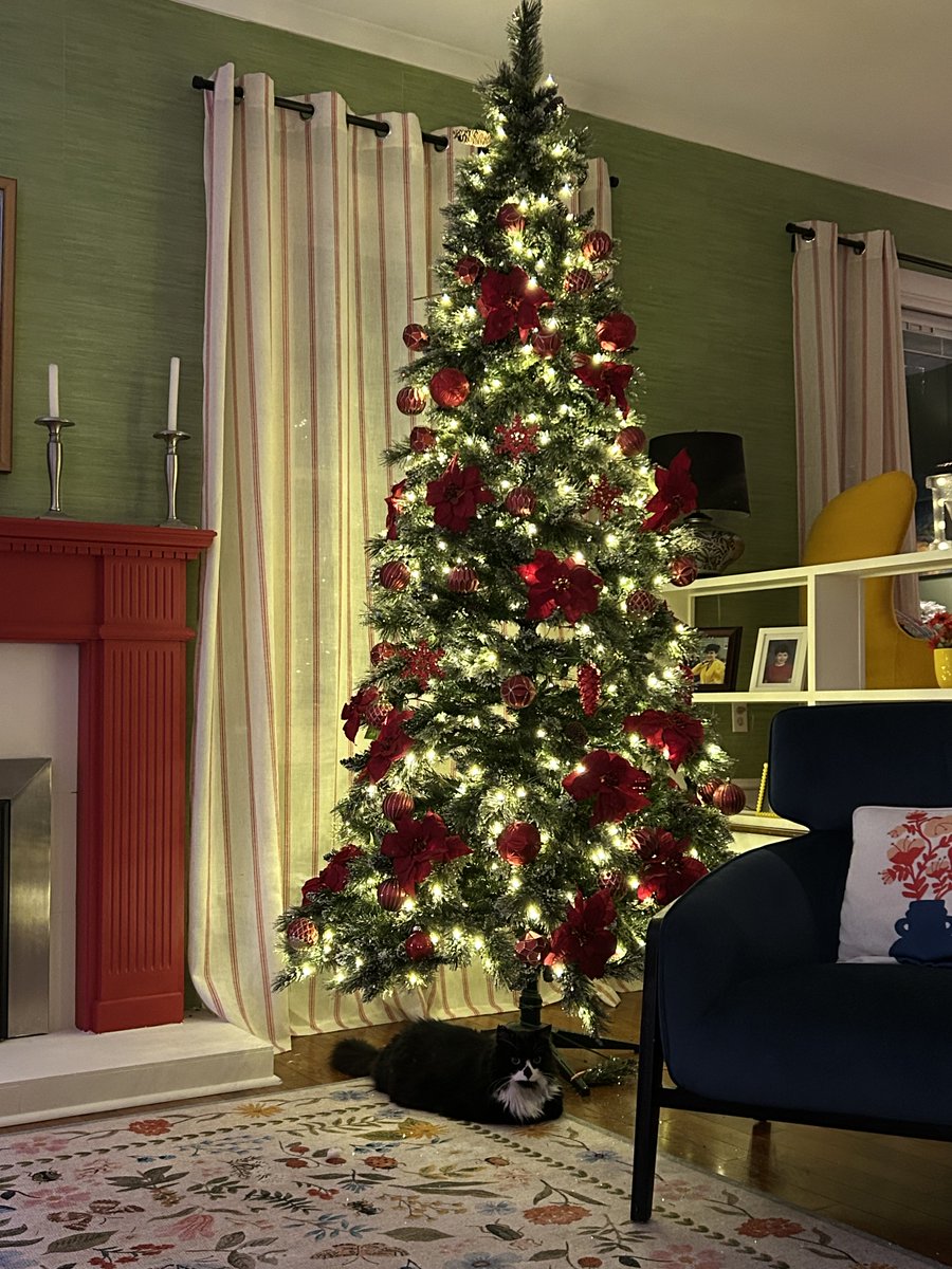 Daphne 🇨🇦🇨🇦🇨🇦 tweet media