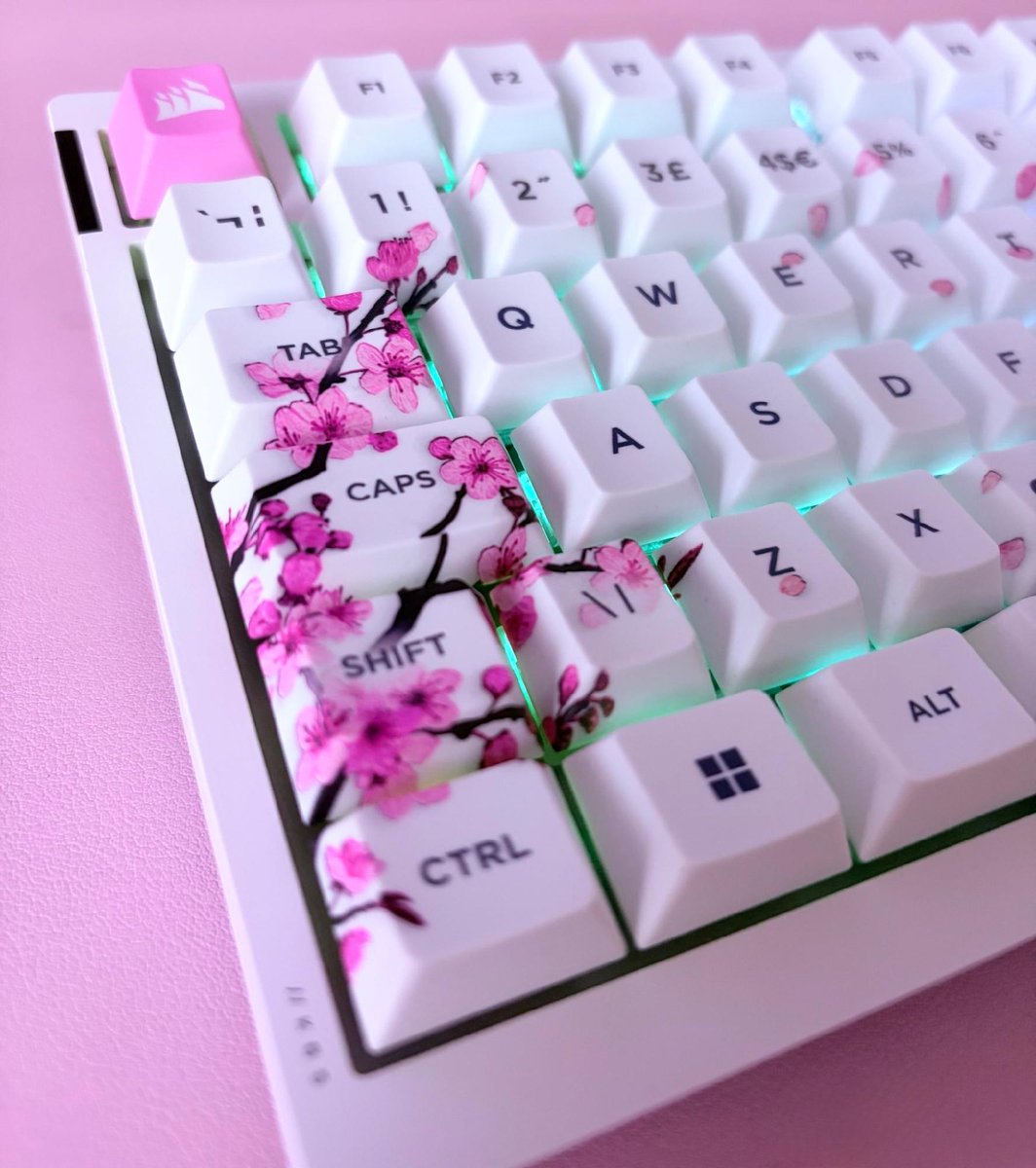 🌸🌸🌸

🎨 Cherry Blossom from CORSAIR Custom Lab
📸: <a href="/xkittykale/">kittykale</a> via X