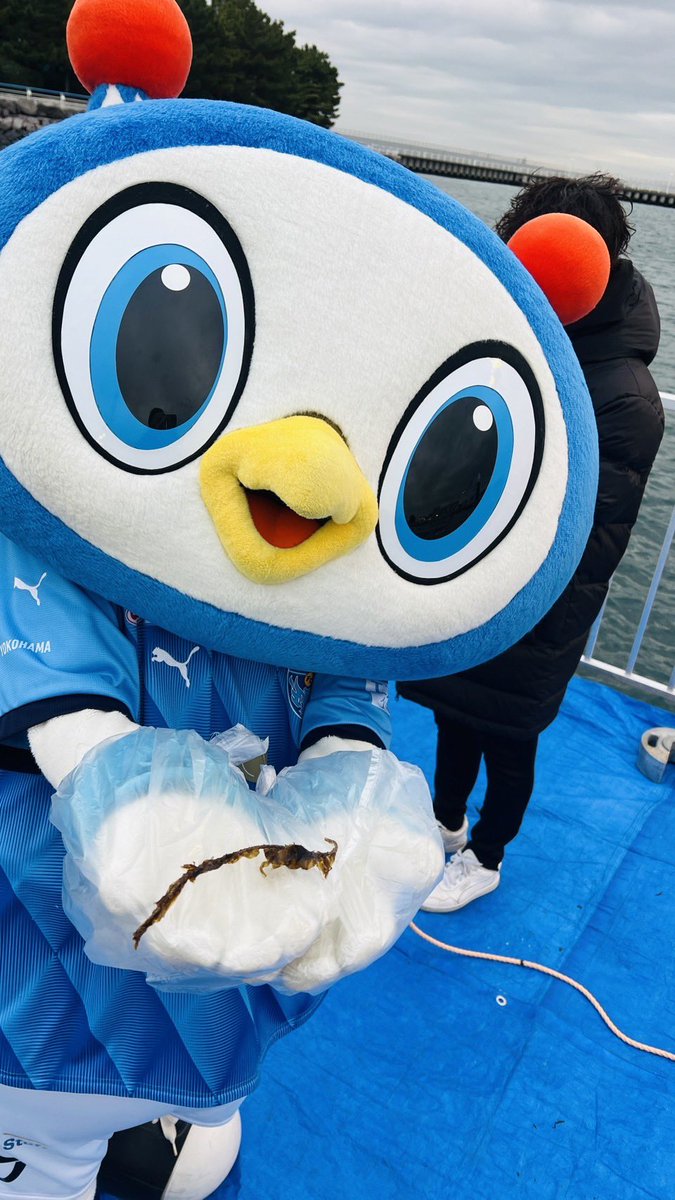 あ い ち ん (@aichin619) / Posts / X