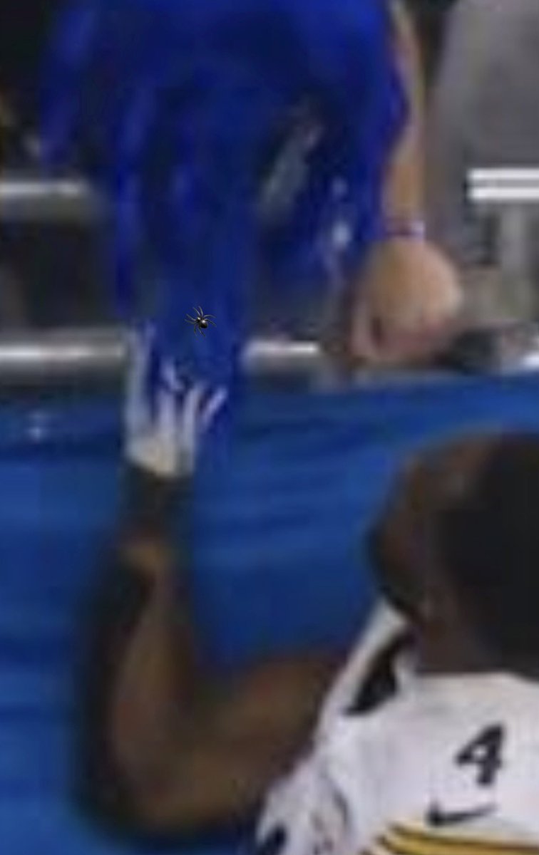 If you zoom in closely you can actually see the spider