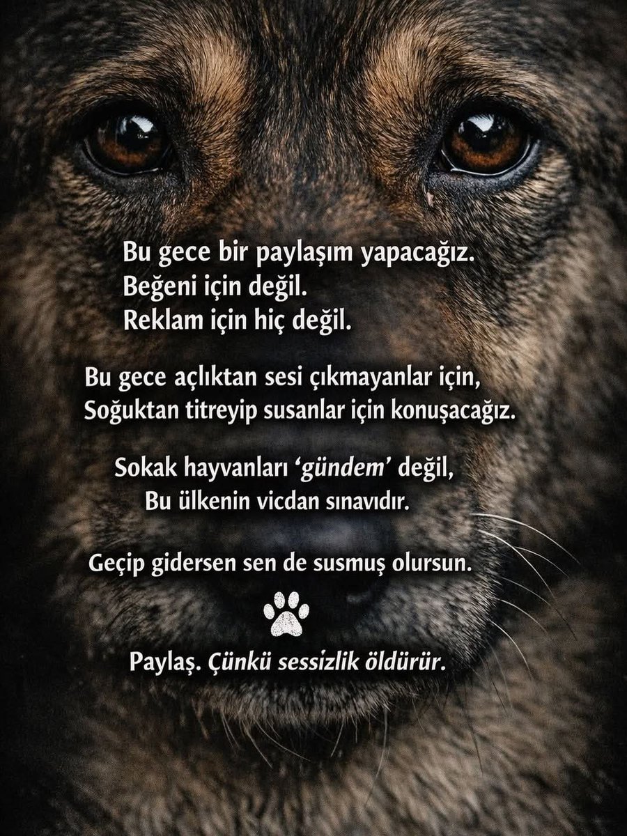 Yesimcarpediem1's tweet image. Bu akıma katılmak istersen paylaş 
#ZulmeOrtakOlmayacağım 
#SokakHayvanlarıSahipsizDeğil 
#Salı