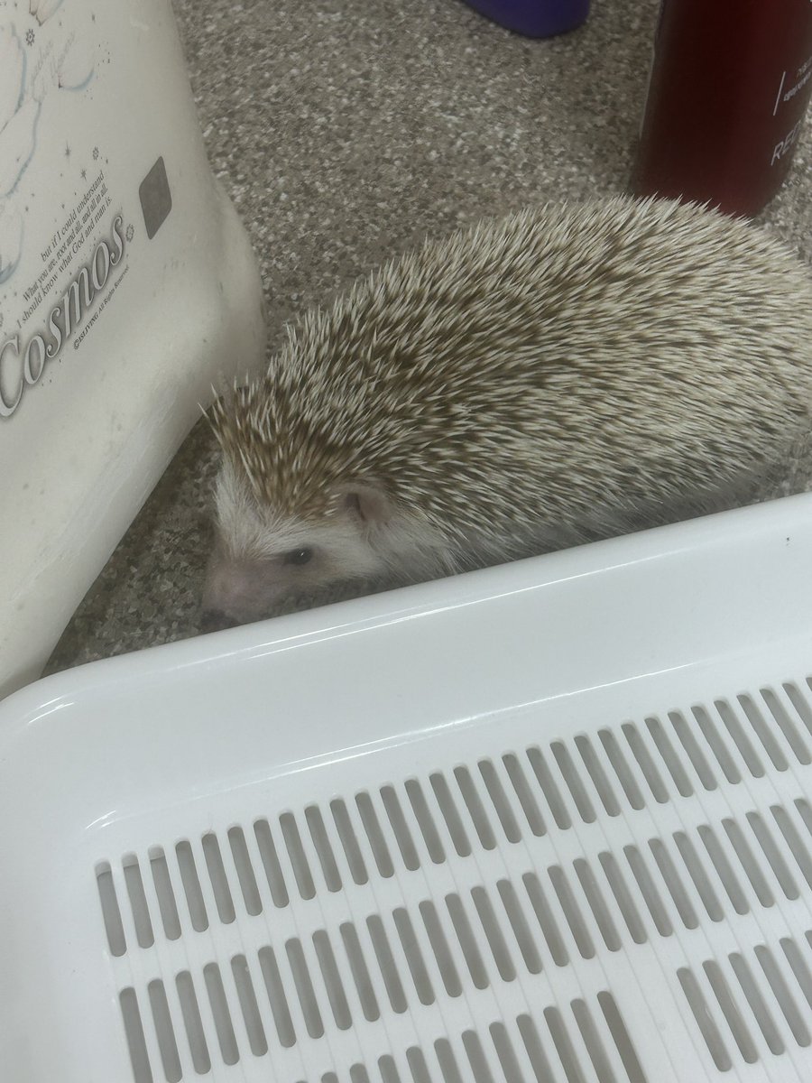 화장싷을탐방하다,