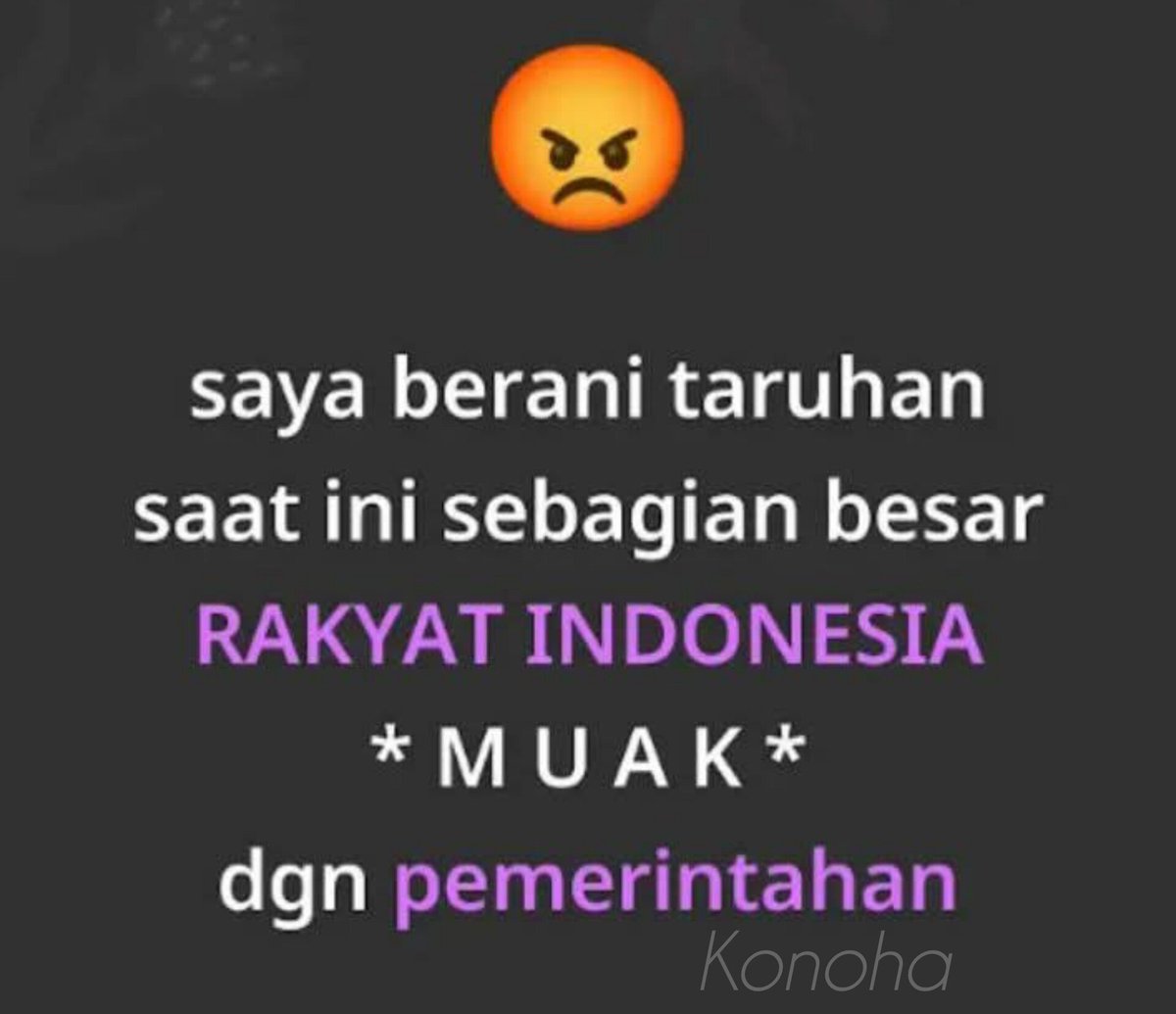 This article represents me !!!