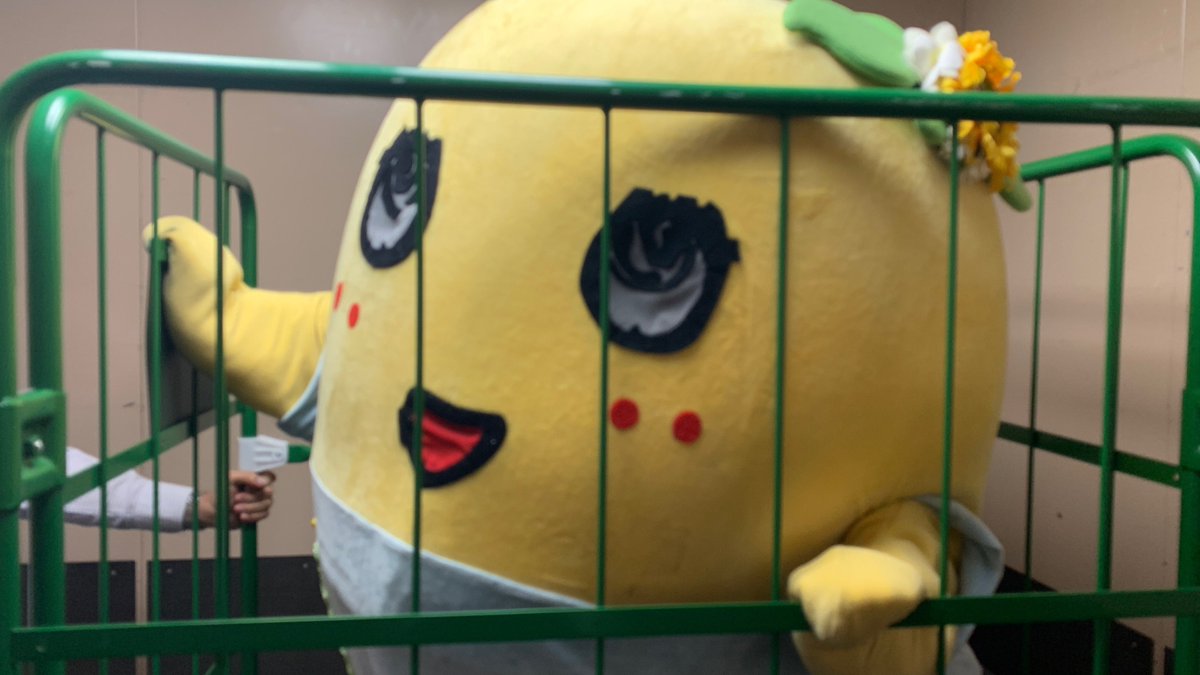 ふなっしー💙 (@funassyi) / Posts / X