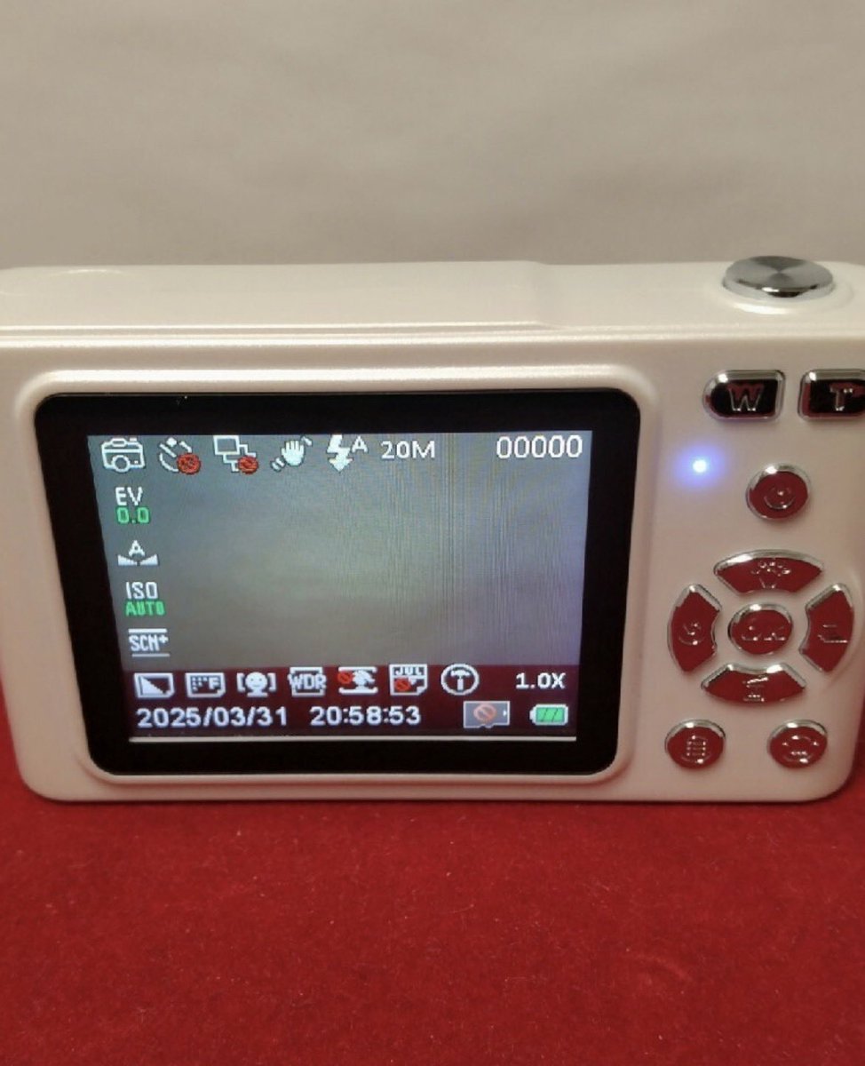 ポール&アート@HisBowtieisReallyaCamera (@HisBowtieCamera) / Posts / X