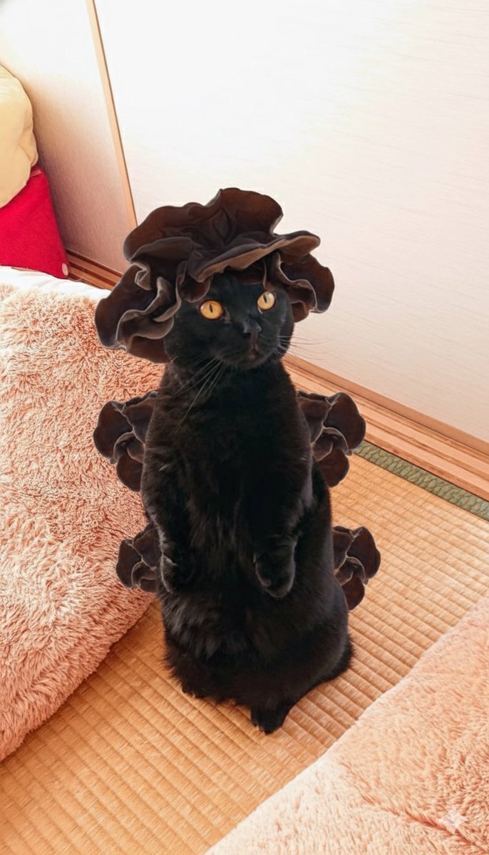 79ゆりんこ ゆりんこ (@yurinko0716) / Posts and Replies / X