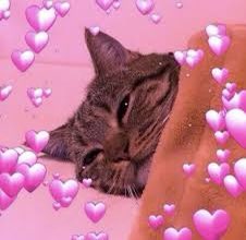 I just love love dude 😭