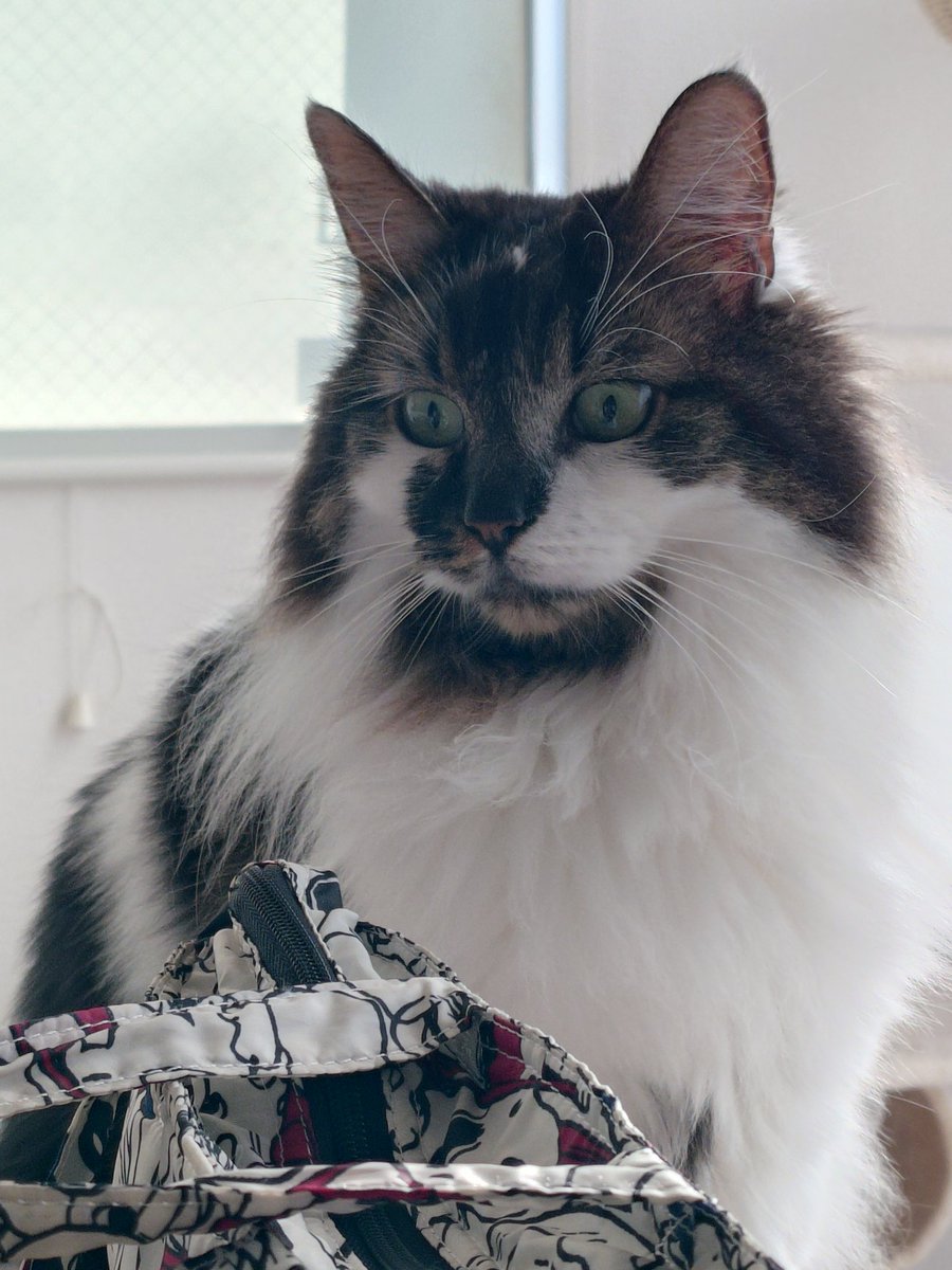 なんて顔してるんだ