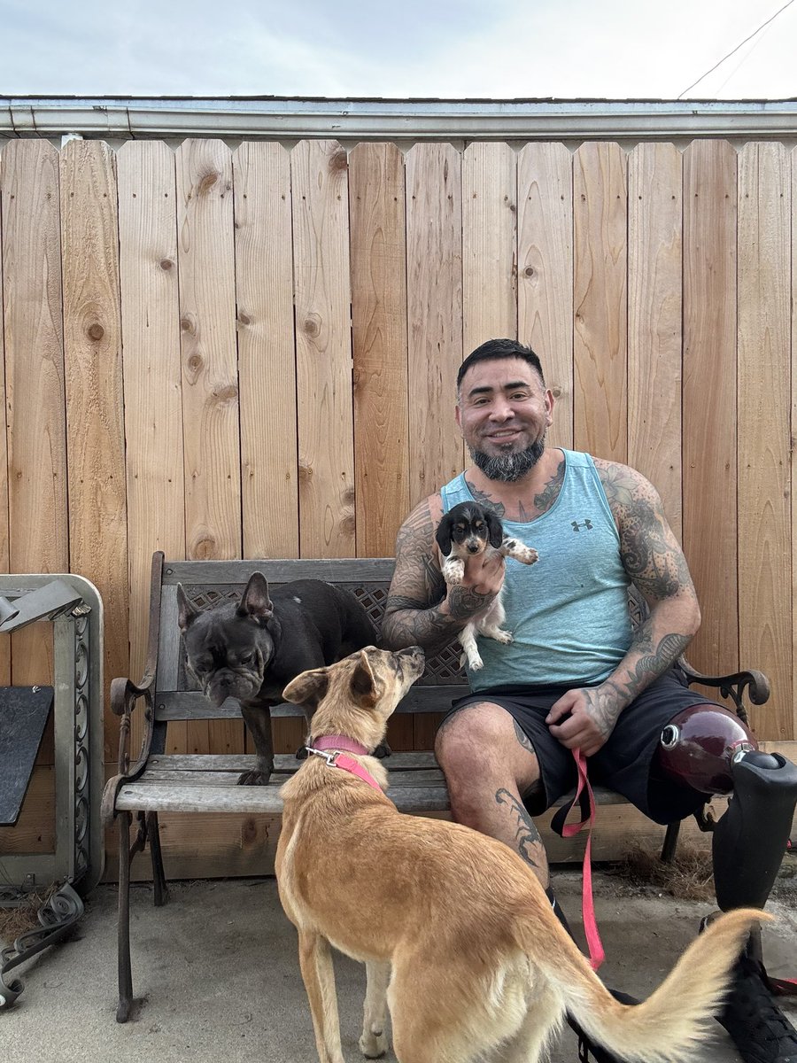 Bionicguy21's tweet image. My babies 🐾🐾🐾