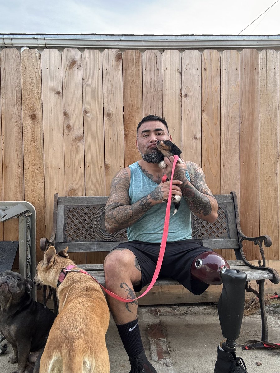 Bionicguy21's tweet image. My babies 🐾🐾🐾