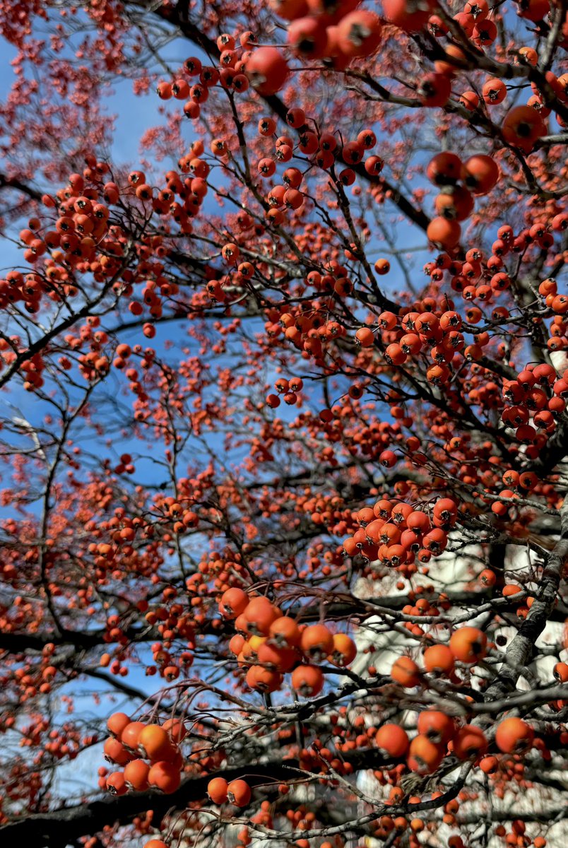 kevincorke's tweet image. "Be kind and compassionate towards one another, forgiving each other, even as God, for Christ’s sake forgave you."
—Ephesians 4:32

Now have a great week and go do the very best you can! #MondayMusings ☺️