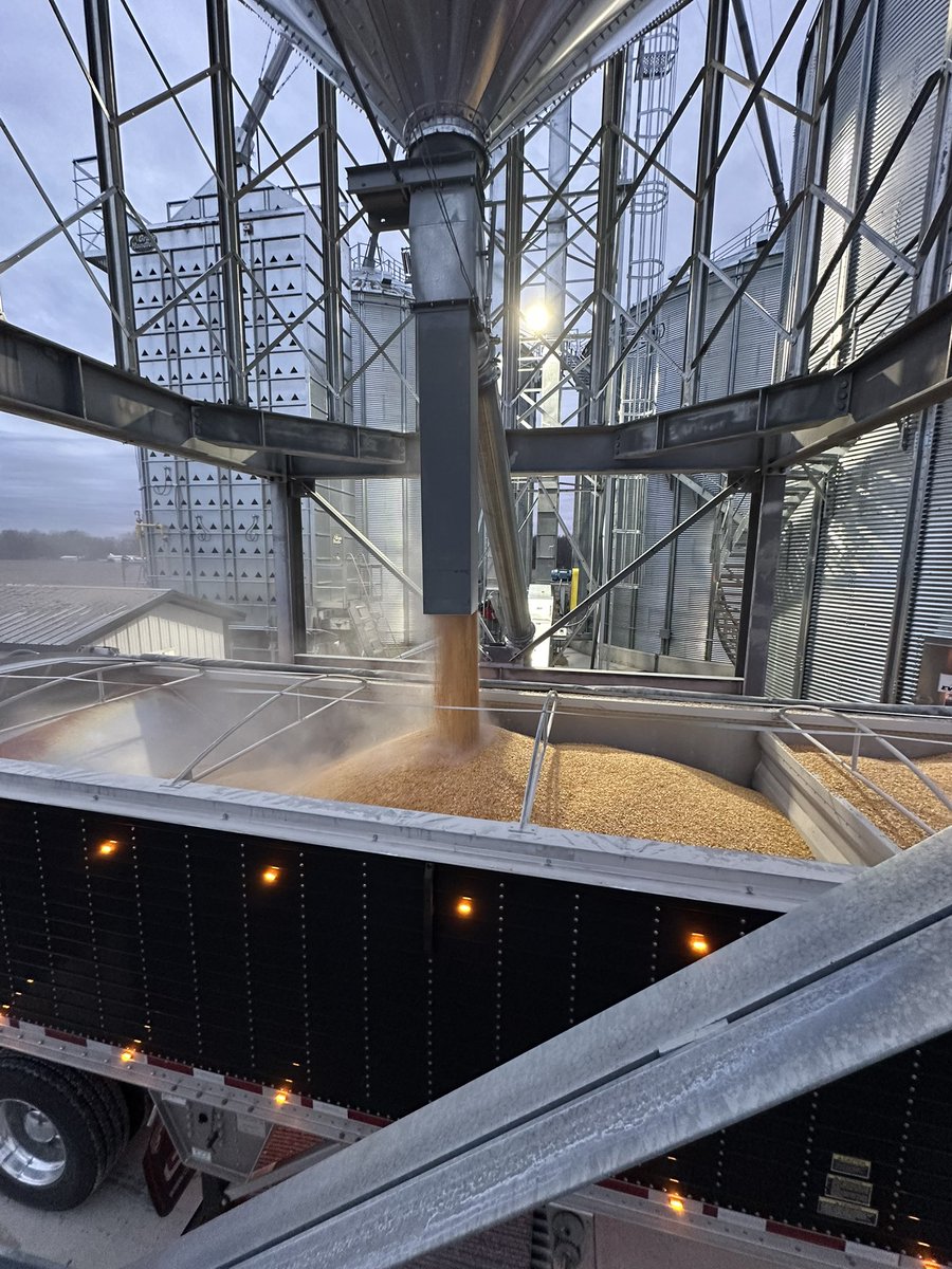 Got home from B’s surgery and had to load a truck of some non gmo corn! Beautiful evening to load out and had some help from dad <a href="/KitchelJon/">Jon Kitchel</a>
