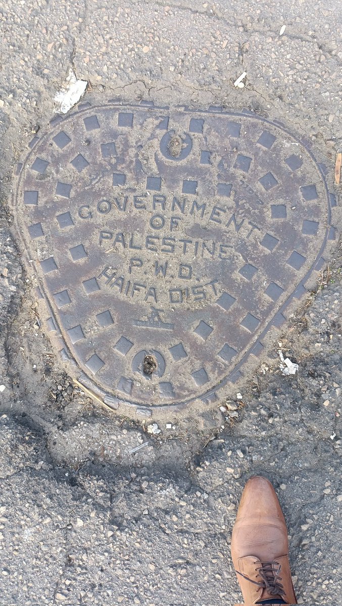 maordahan8's tweet image. רק בחיפה אפשר לראות ממשלת פלסטין מחוז חיפה, כאילו לא עברו 75 שנה