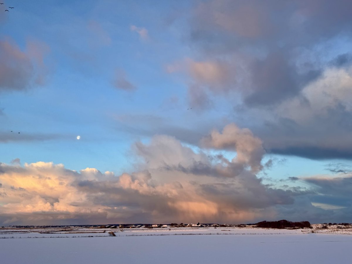 Het eiland ligt in verlatenheid.

Gedempt zijn de geluiden en overal ligt sneeuw.