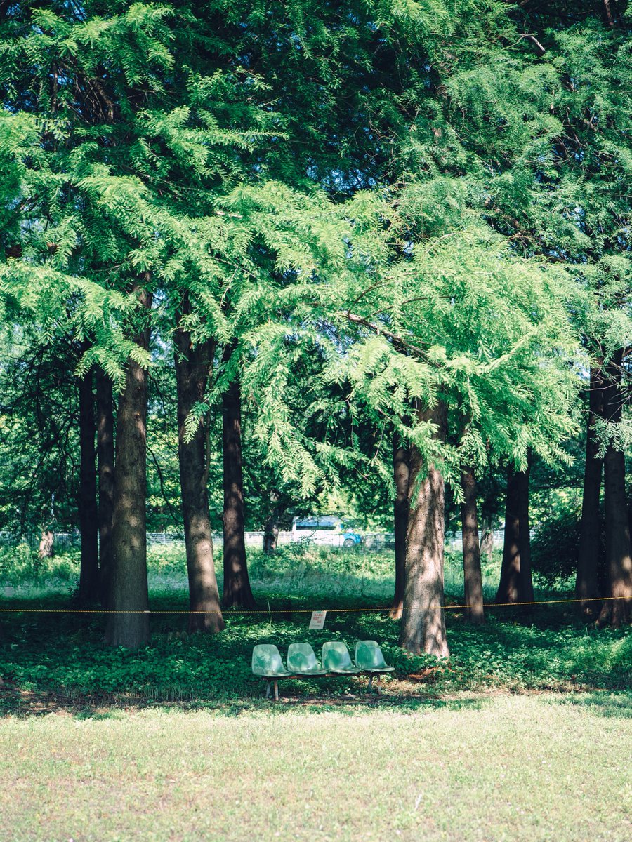 keith___inoue's tweet image. 定点観測