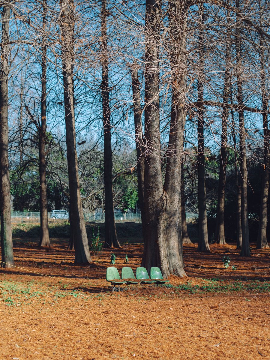 keith___inoue's tweet image. 定点観測