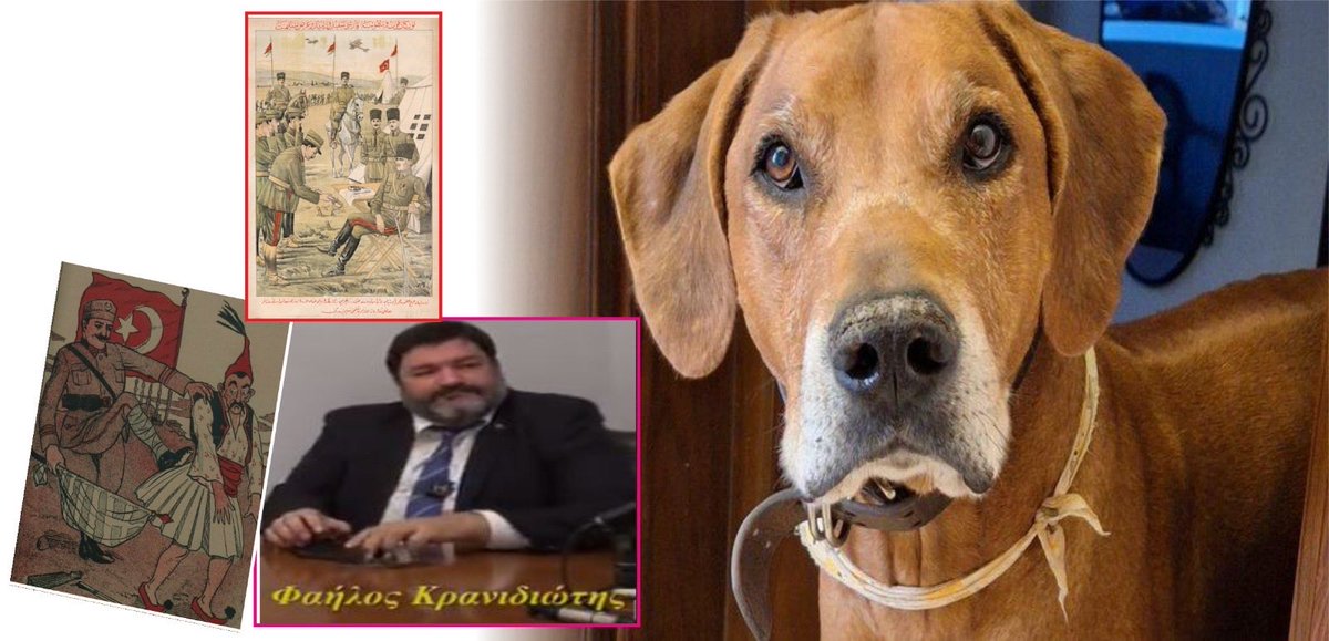 Sweet dog...

His grandfather adopted this creature that escaped from the Aegean Sea
With its huge butt and tiny brain it can create the appearance of artificial intelligence;bravo! 
A groom who gets into bed with someone else's help becomes a BRIDE, you idiot #Failoskranidiotis