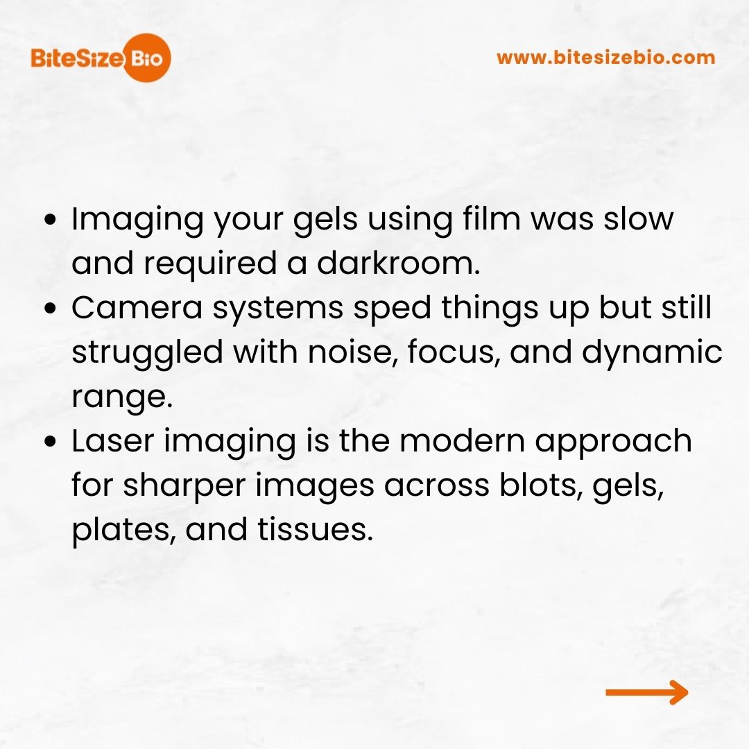 BitesizeBio's tweet image. Gel and blot imaging has progressed from film to digital cameras and now to lasers! Learn how laser-based systems improve sensitivity, dynamic range, and consistency in today’s molecular biology workflows. Read now → buff.ly/aF8PdXy #Proteomics #WesternBlot #LaserImaging