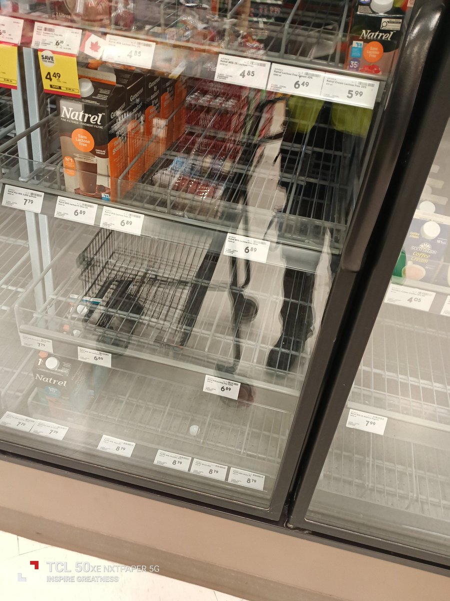 William Vaughan (Gerard) Bedell tweet media