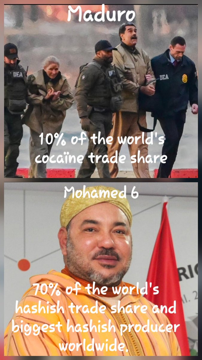 Cryptoides tweet media