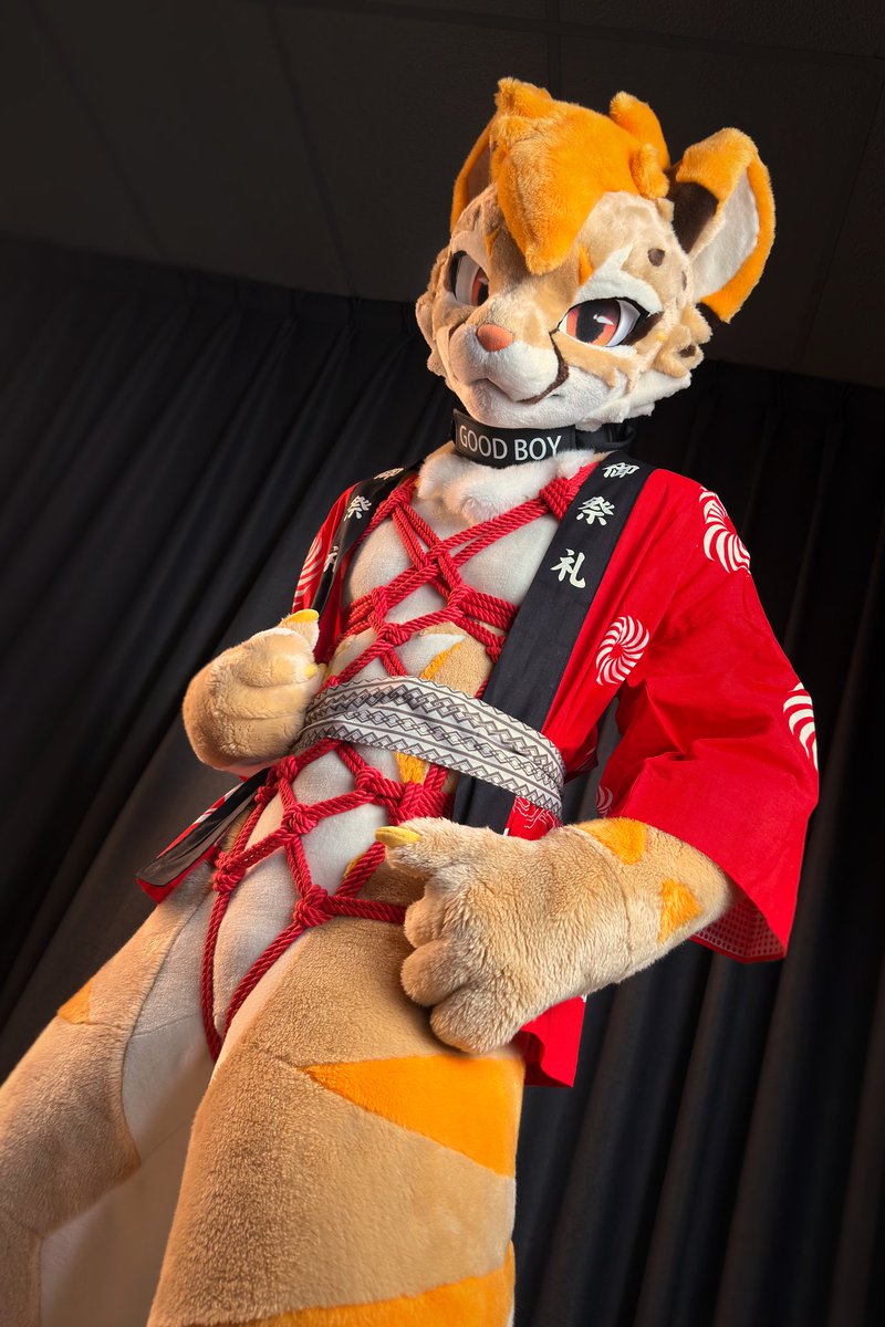 ⚡️CheetahPaws 獵豹爪⚡Thaitails - HiFurry tweet media