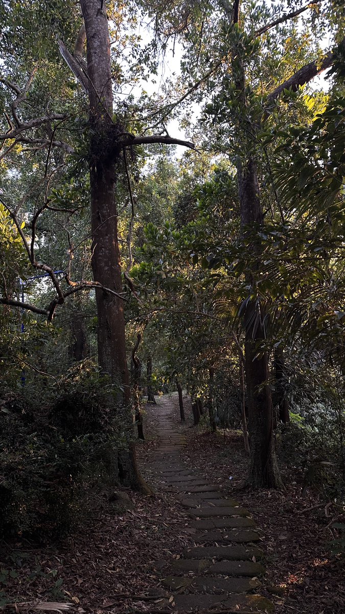 went on a mini hike near home.