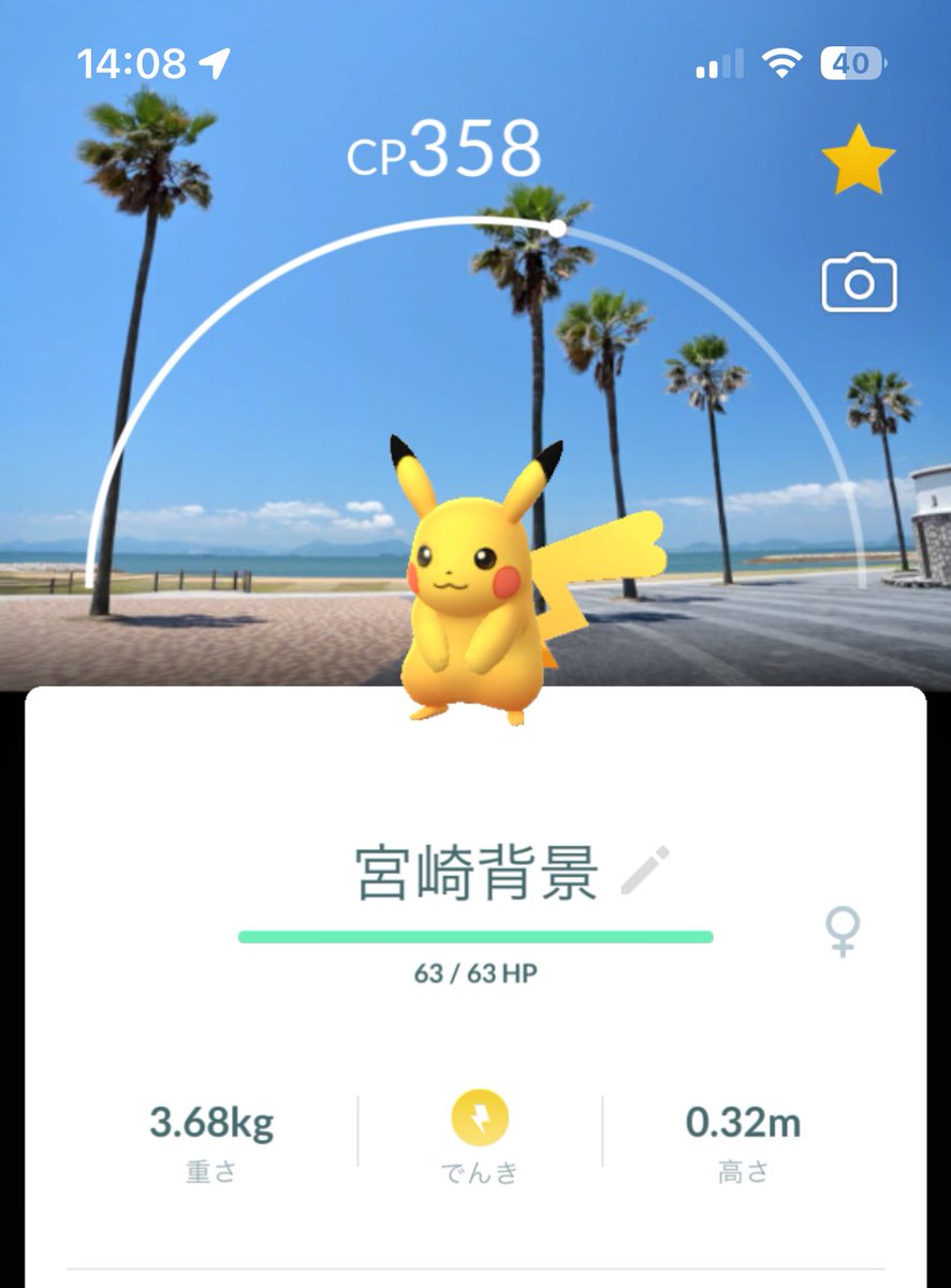 なみゴン様☆確認ページ 開発者のWindows、macOS、Linux環境を狙ったDangerousPasswordによる