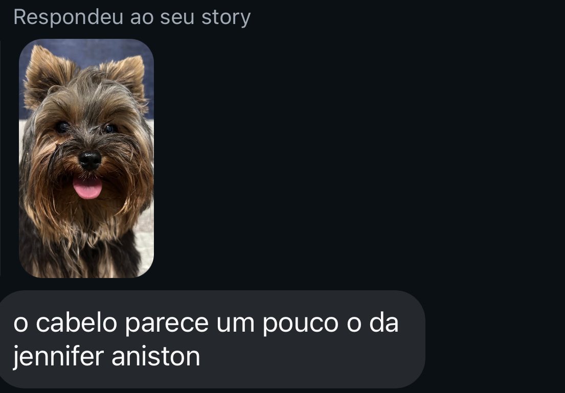 Postei uma foto do Bartholomeu no stories