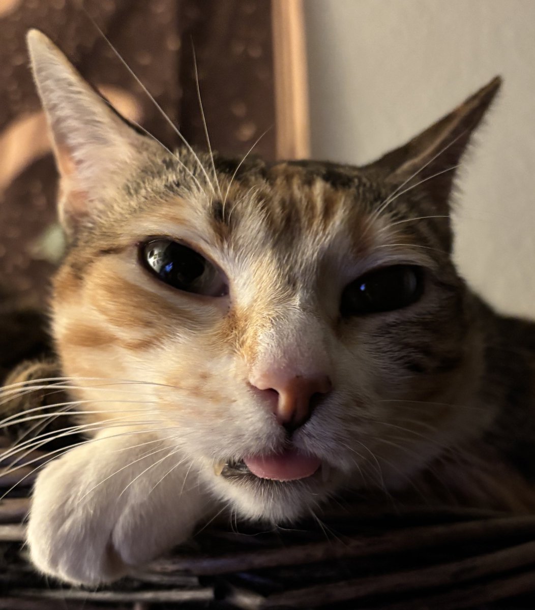 Robin Fey 🌿 tweet media