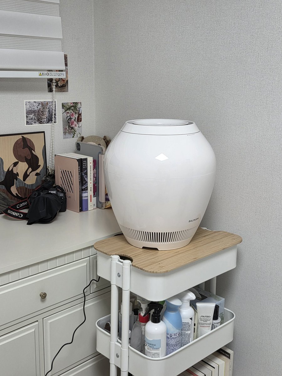 새로 산 가습기 개뚱뚱해