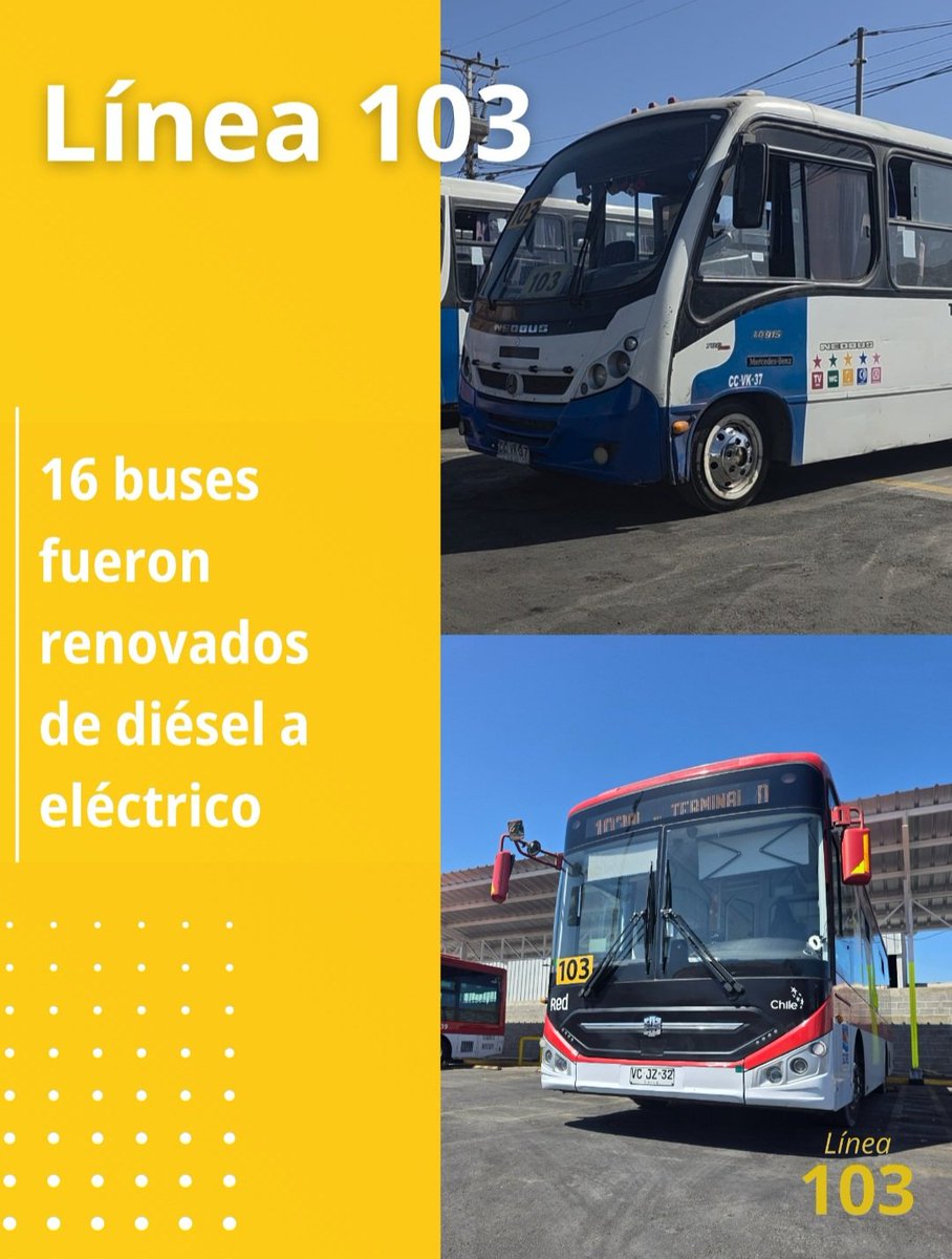 Linea 103 tweet media