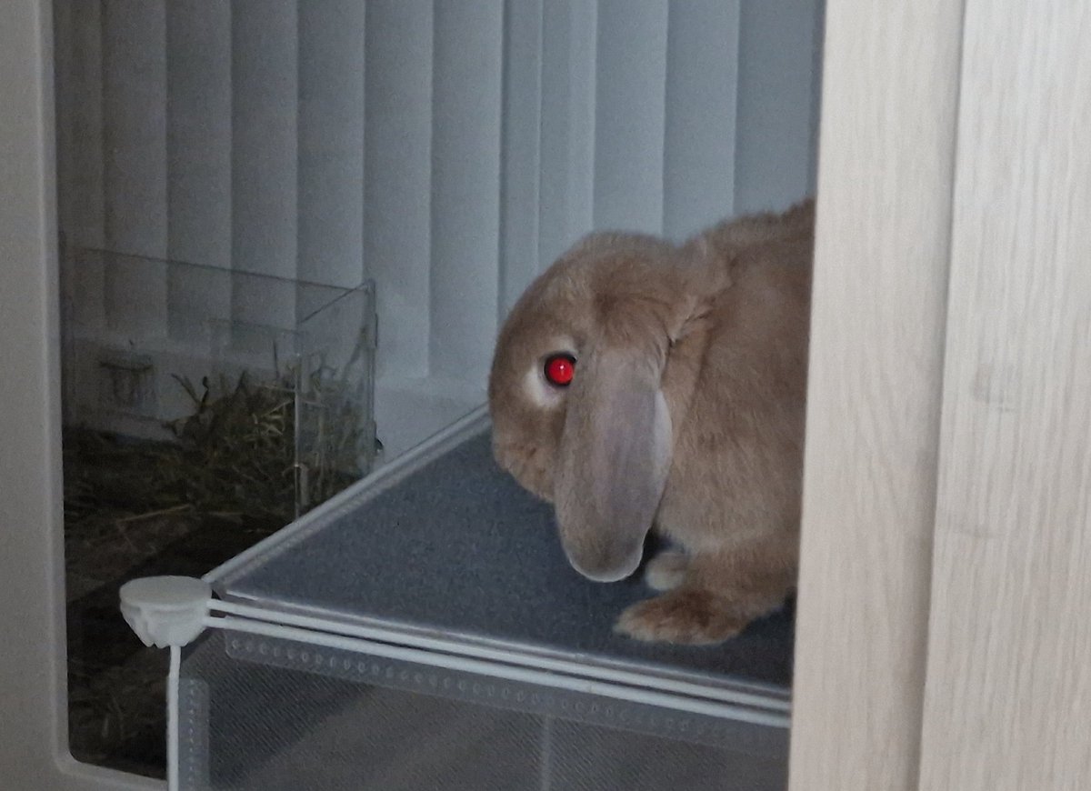 mm__rong's tweet image. 덤비면 안 될 것 같음