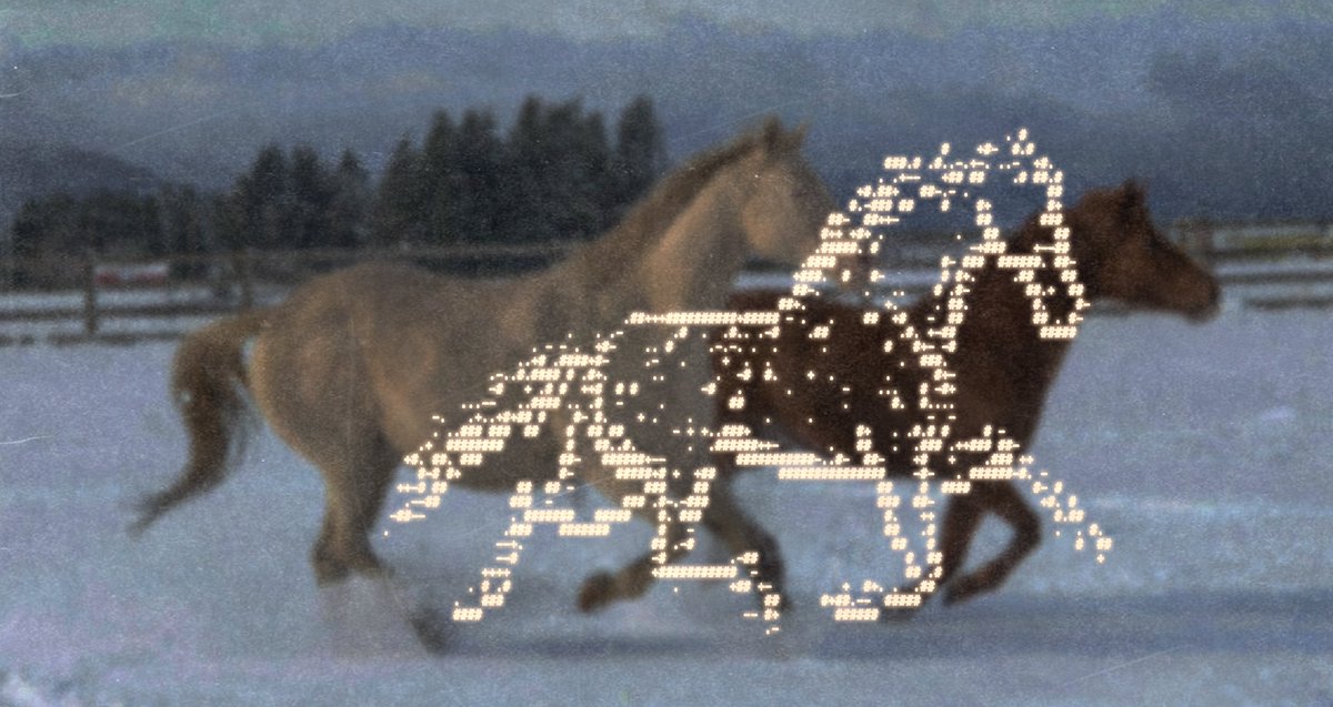 enigmatriz's tweet image. run with me.