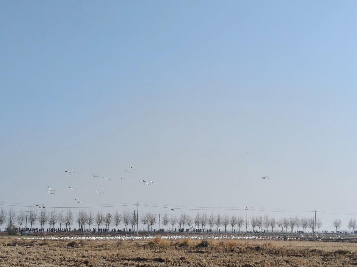 #互关必回 
你看到什么了