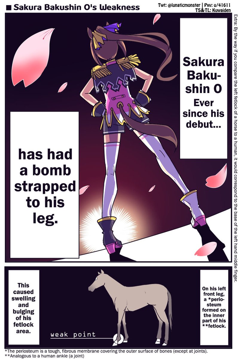 Kuwaiden's tweet photo. Sakura Bakushin O Repost 1/2 by @lunaticmonster

The love and care the horse racing staff give the horses is so tender it makes a grown man cry 🥹

#ウマ娘 #Umamusume 
#ウマ娘英訳 #UmaTranslations https://t.co/TWG8TOWJ2J